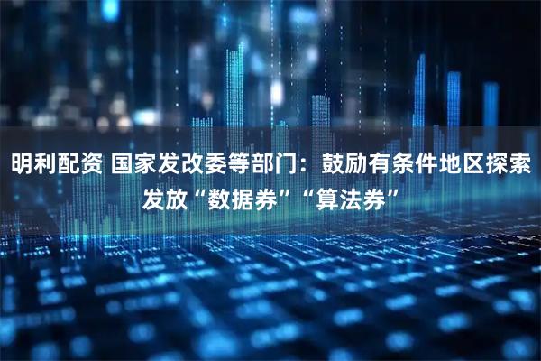 明利配资 国家发改委等部门：鼓励有条件地区探索发放“数据券”“算法券”