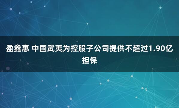 盈鑫惠 中国武夷为控股子公司提供不超过1.90亿担保