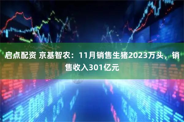 启点配资 京基智农：11月销售生猪2023万头，销售收入301亿元