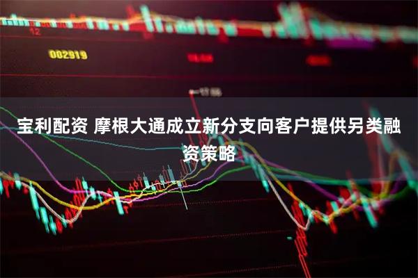 宝利配资 摩根大通成立新分支向客户提供另类融资策略